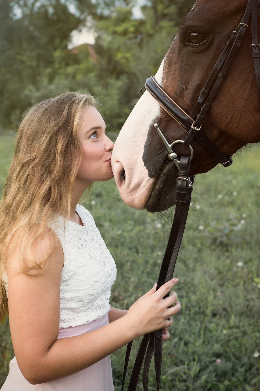 soins énergétiques cheval