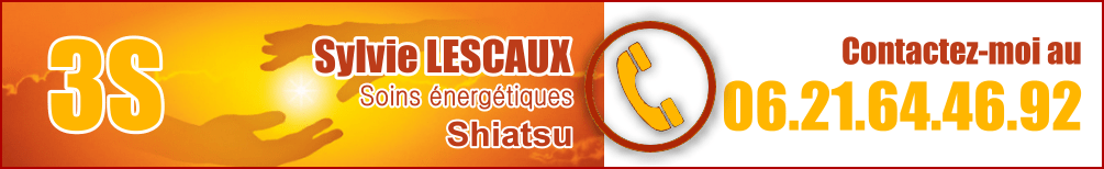 3S – Sylvie Lescaux – Soins énergétiques – Shiatsu – Lille – Nord Logo